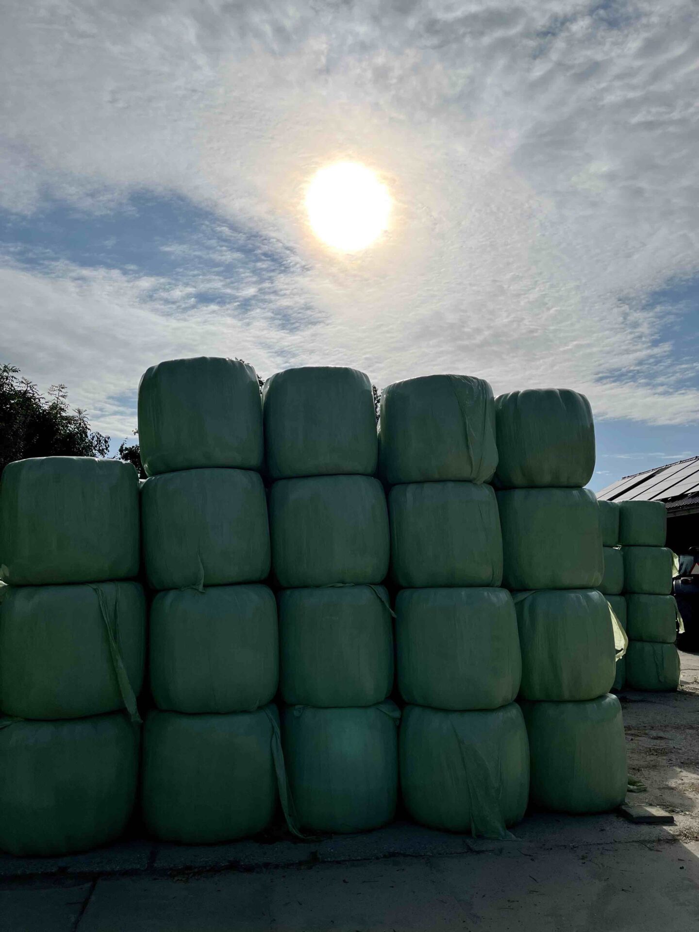 Midi-balen-opslag-voordroog